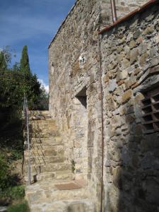 Fattoria il Leccio - Appartamento con terrazza