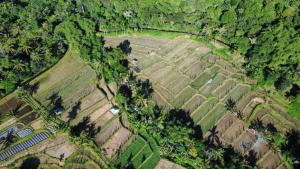 Haris Homestay & Cottages
