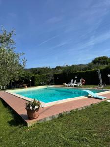Le Coccole Del Trasimeno
