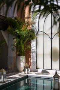 Riad Le Saadien ,Adult only