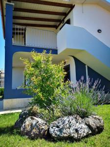 Appartamento 6 img14