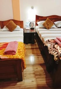 Arara ibt homestay