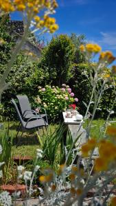Seaview apartment TAJM GARDEN & private parking