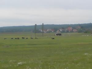 Fewo am Straufhain