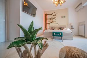 Oltremura Rooms Agropoli