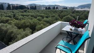 Apartments Bojku