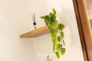 Studio Aura by Propertize - centro Olbia img19
