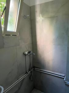 Mandarine hostel