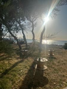 Orsa Maggiore Holiday