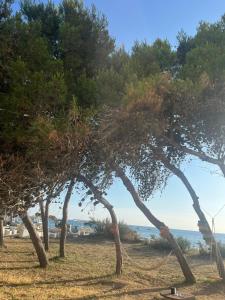 Orsa Maggiore Holiday