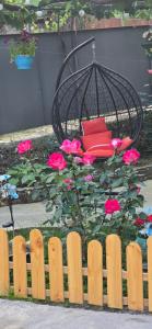 Guesthouse Turo