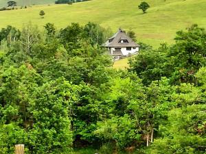 Casa Mila Zlatibor