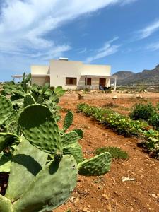 Aria Case Vacanze - Frumento