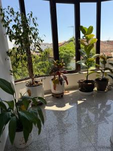 Hill Haven Guesthouse