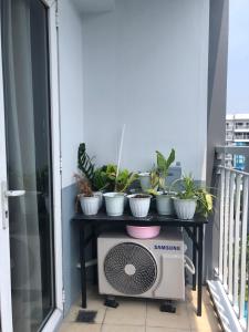 Accommodating Place