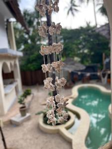 Jambiani Kite Lodge