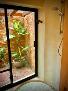 1 bdrm condo, Manzanillo Bay, Troncones