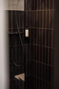 Forrest Piękna Dolina - całoroczne domki premium, strefa SPA sauna, jacuzzi