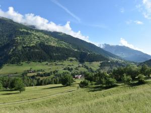 detached holiday home in Grengiols Valais views
