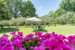 Sundara Apartment strategic Tuscan base near Siena, San Gimignano and Chianti
