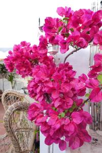 Nice Terrace near Beach