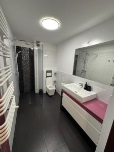 Przemysłowa Comfort Apartment Parking Zabłocie