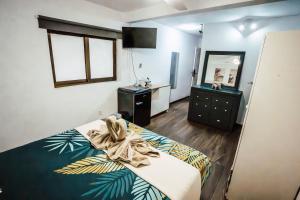 Suite Amazónica