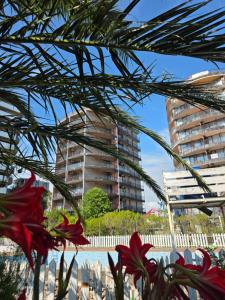 Beachfront Cozy Apartment in Gonio Mgzavrebi