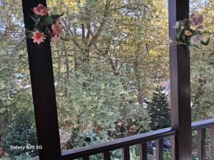 Paradise Apartment in Ai Giannis