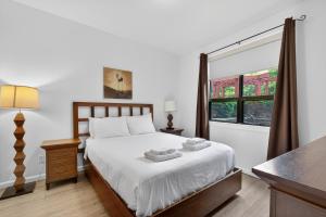 2 Bd at Playa! Rooftop Pool and 1 min From Beach 350