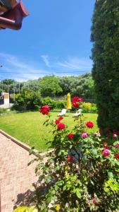 Argyroupolis Dimitris Rooms