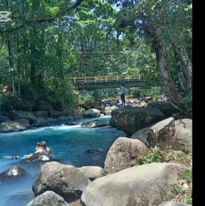 Bosque celeste