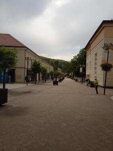 Hotel Flóra