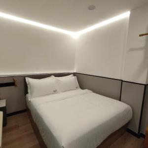 THE SWAN loft