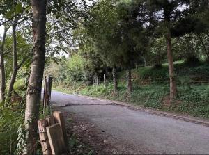 Inn Daviti