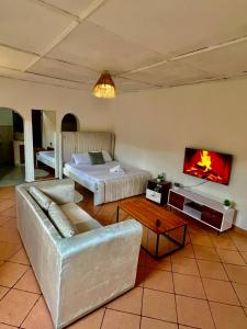 Your cozy spacious studio