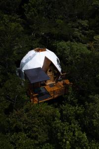 Naturave Monteverde - Treetop Cabins