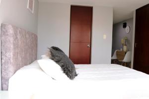 Hermoso Apartaestudio, moderno, cercaavdelosestudiantes, apto303