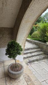Apartmán U splavu Luhačovice
