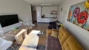 Draugų apartamentai