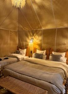 Majesty Camp