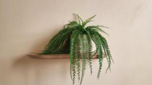 2-bedroom apartment in the city