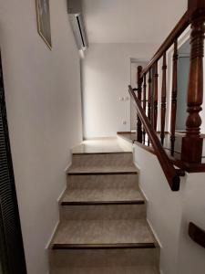 Vila David