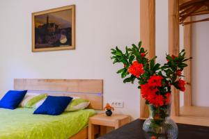Apartmaji Skalabon - Ivo