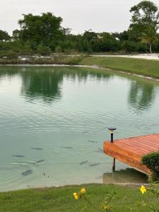 Punta Cana Tropic Loft Jacuzzi & terrace