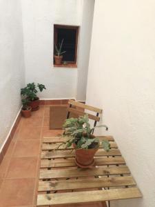 Casa acogedora en planta baja