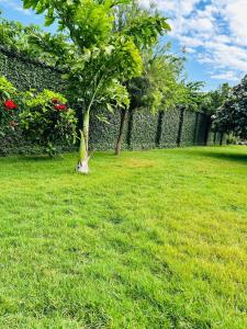 Hazina Homes
