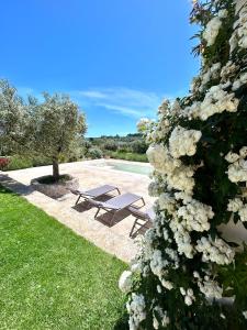 Ostuni Cervarolo Villa 3 bedrooms Pool Olive Grove near the Sea