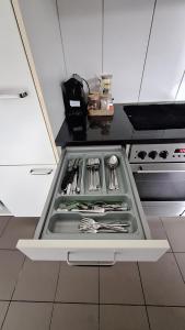 Messe-Badische SBB- grosse Wohnung