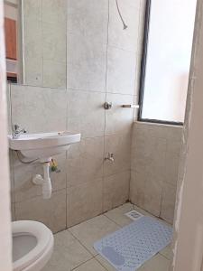 Aurora Suite